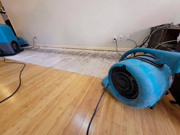 Professional Structural Drying technician working in Wynnewood, PA